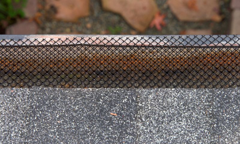 Gutter Guard Replacement in San Francisco, CA
