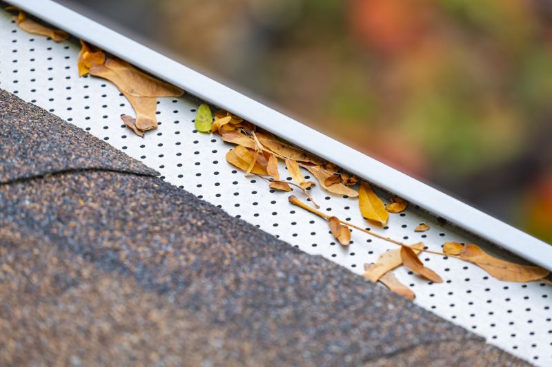 Gutter Guard Replacement in San Francisco, CA