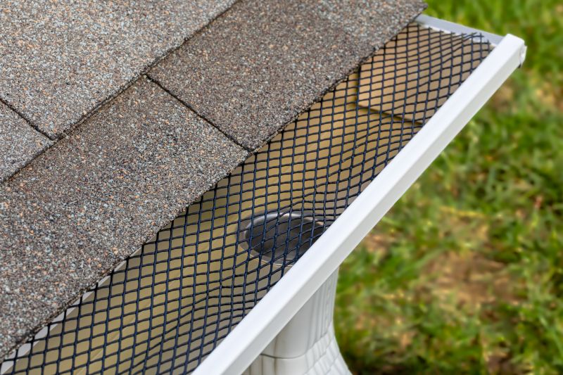 Gutter Mesh Installation in Snohomish County, WA