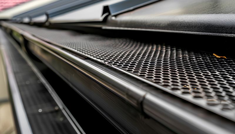 Gutter Mesh Installation in Snohomish County, WA