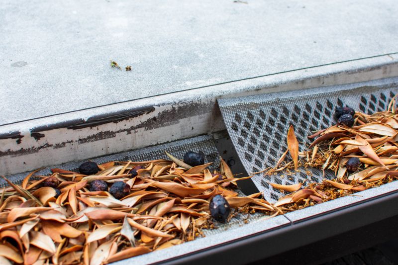 Gutter Mesh Installation in Redmond, WA