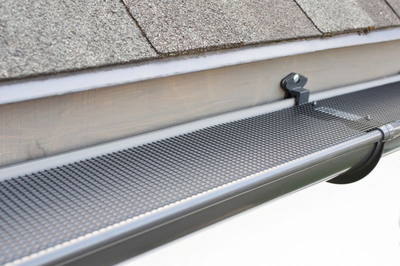 Gutter Mesh Installation in Seattle, WA
