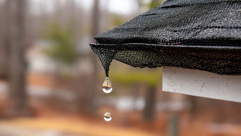 Gutter Mesh Installation in Seattle, WA