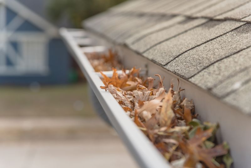 Leaf Barrier Installation in Longmont, CO